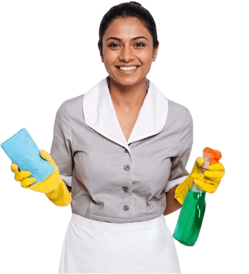 Veltrix professional cleaner